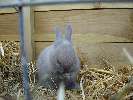 Dit is Puk:) Zoooo lieff!